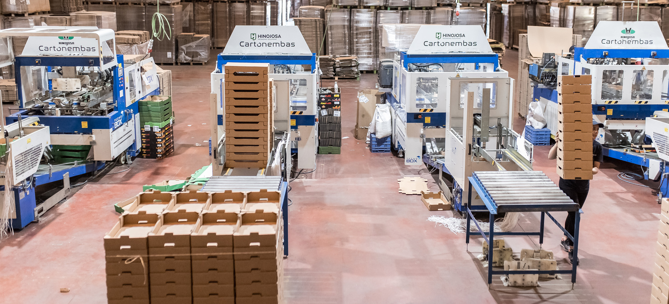 bandejas-agrícolas-exportación-extremadura