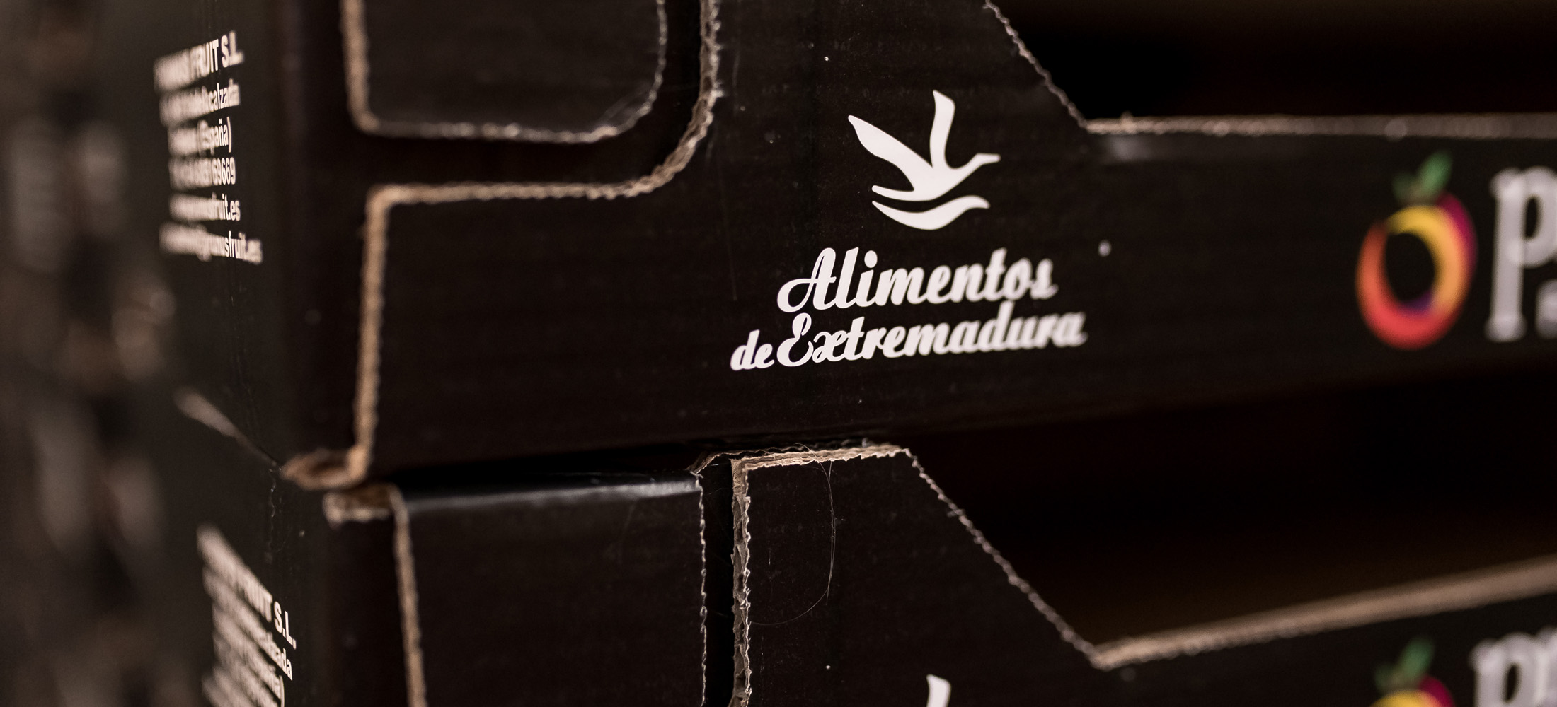 bandejas-envases-fruta-verdura-cartón-extremadura-cartonembas