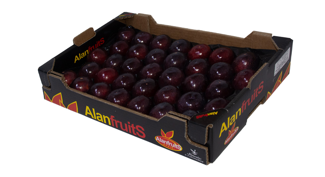 caja-envase-packaging-fruta-alveolo