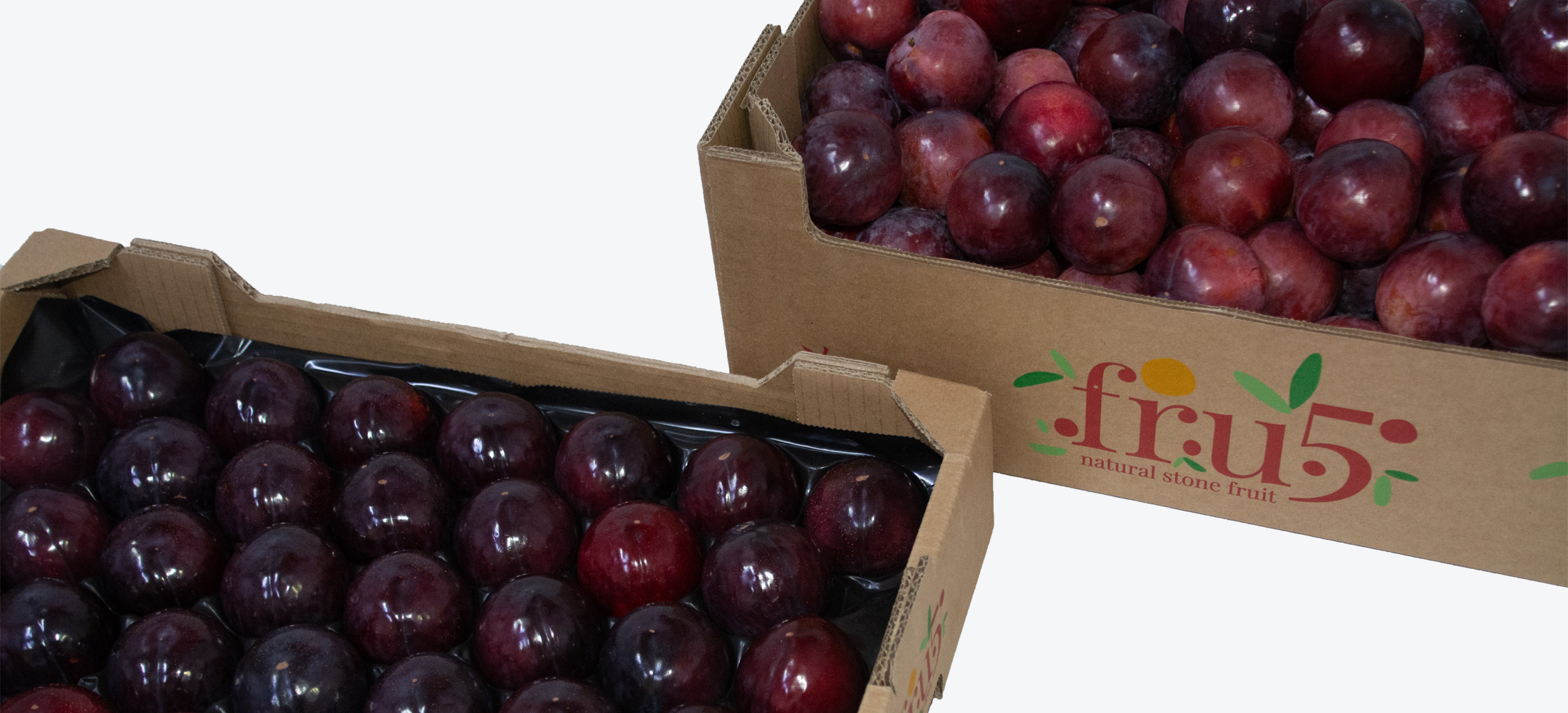 caja-fruta-palet-exportacion