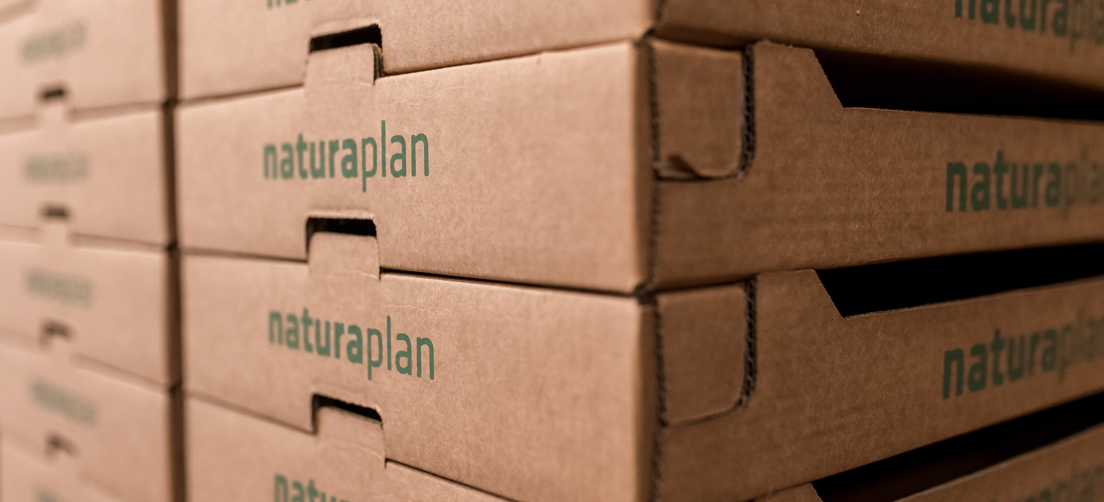 envase-bandejas-cartón-sostenible-fruta-verdura