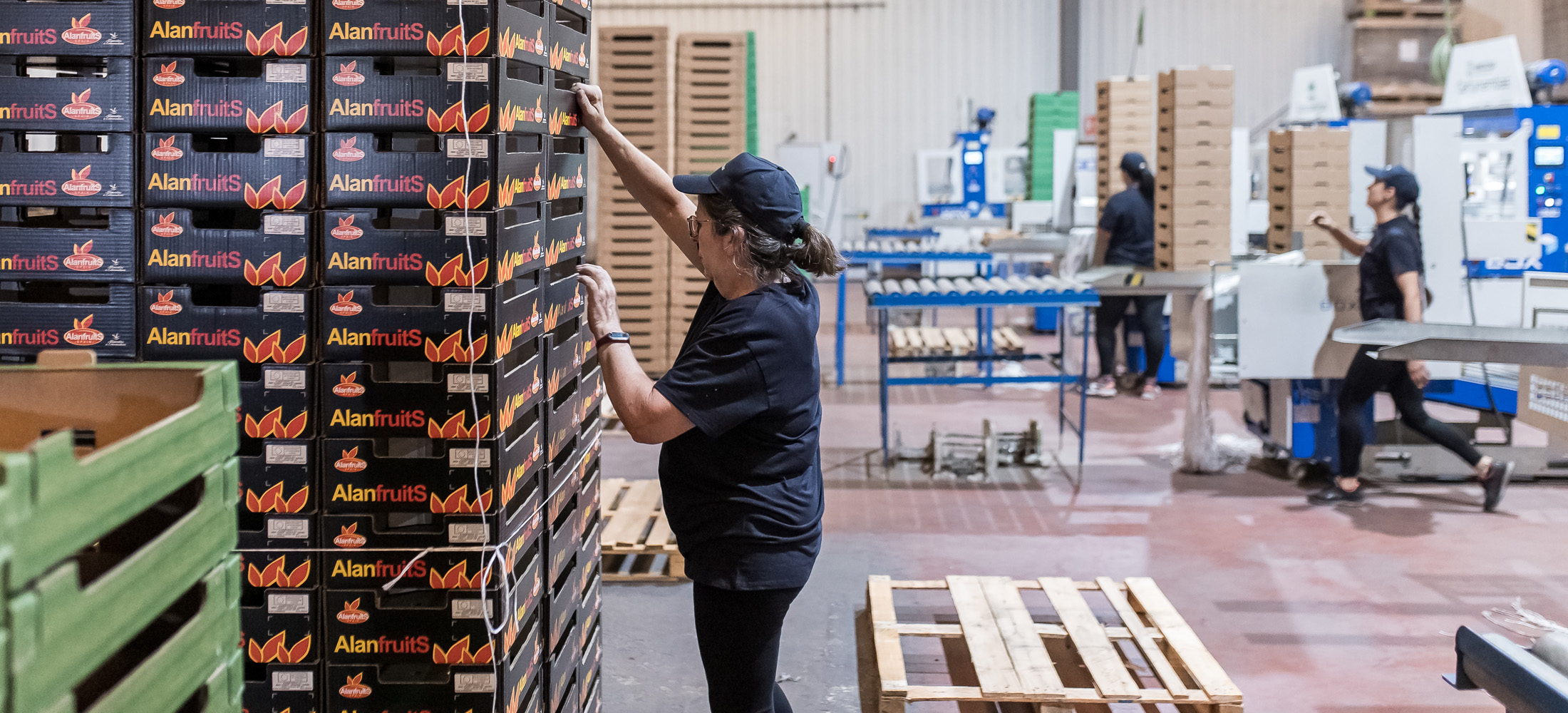 envase-carton-sostenible-exportacion-fruta-verdura