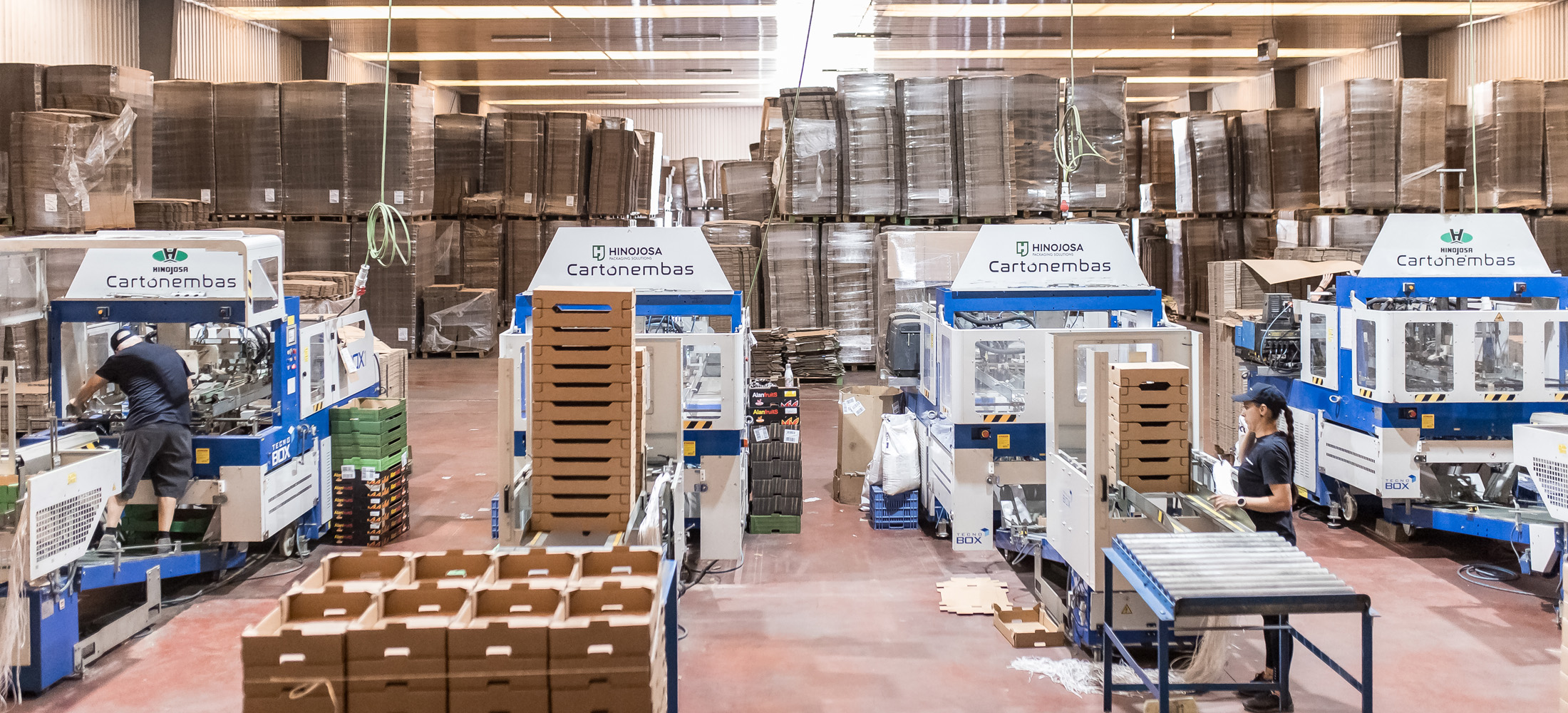 envases-agroalimentarios-cartón-extremadura-cartonembas