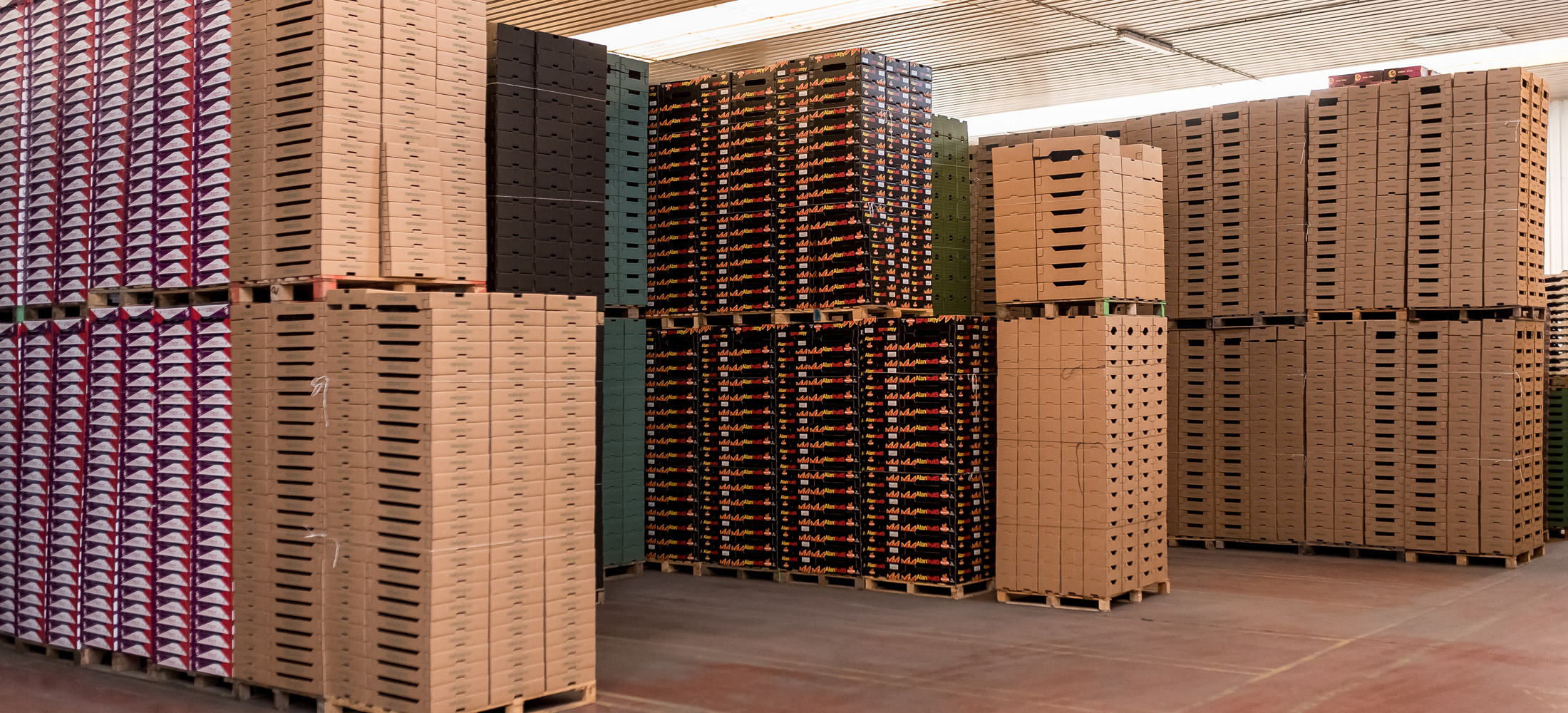 envases-packaging-hortofrutícola-cartón-cartonembas