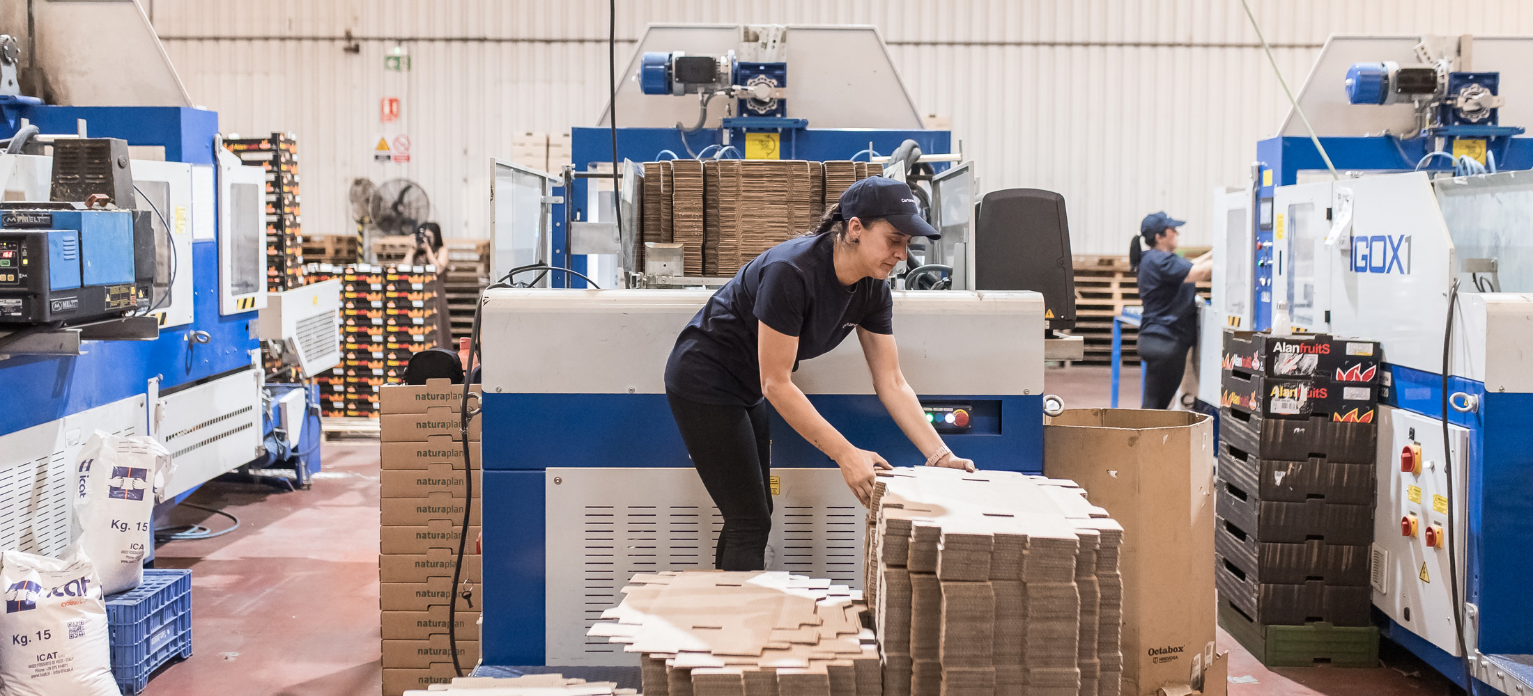 packaging-agricultura-sostenible-extremadura