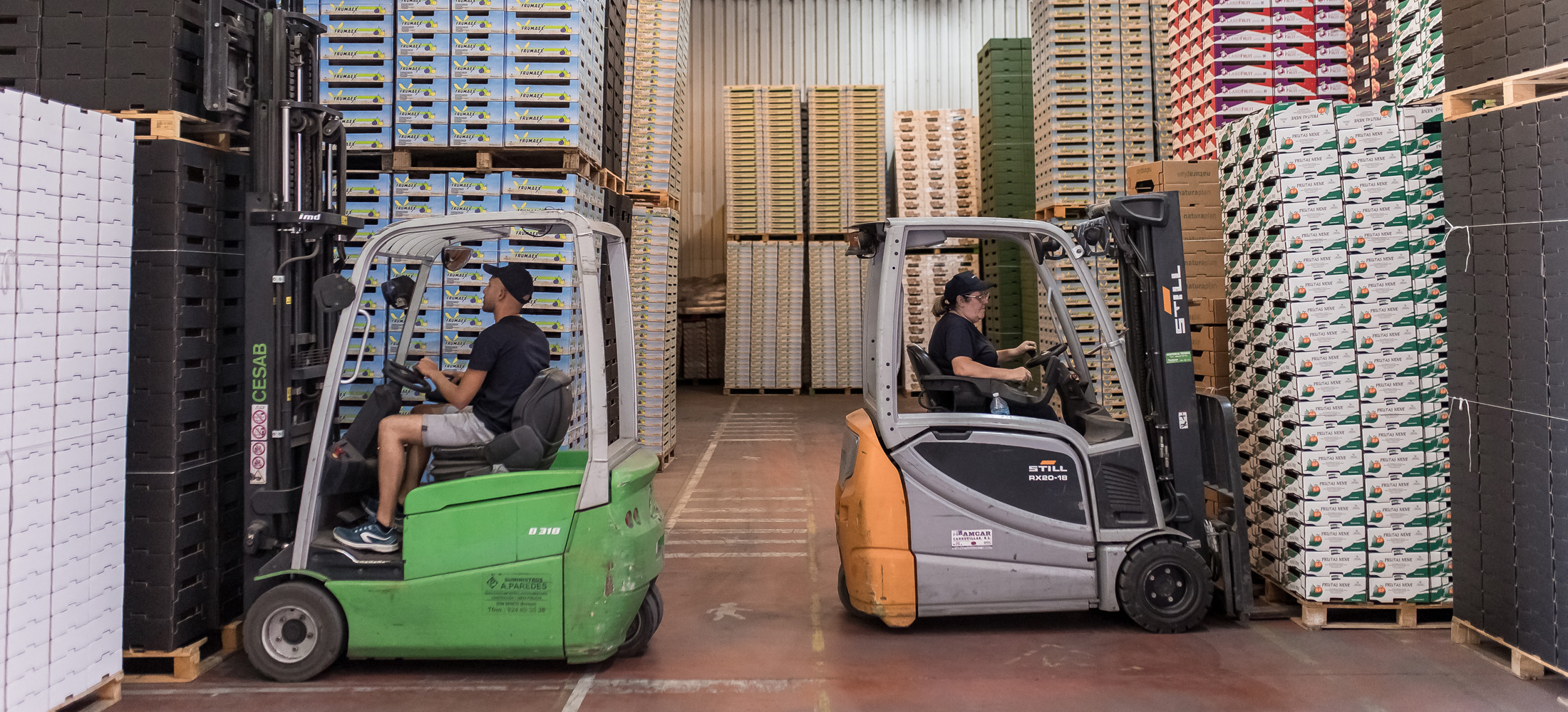 packaging-alimentario-sostenible-extemadura