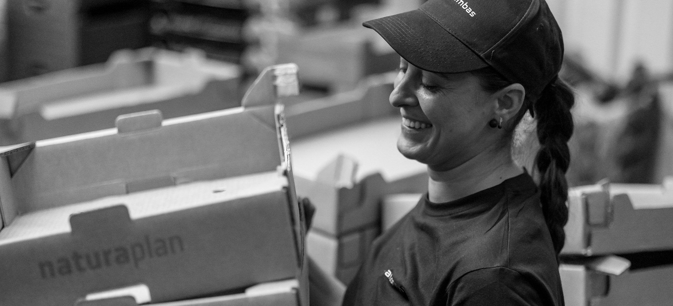 packaging-envases-agricultura-cartón-sostenible