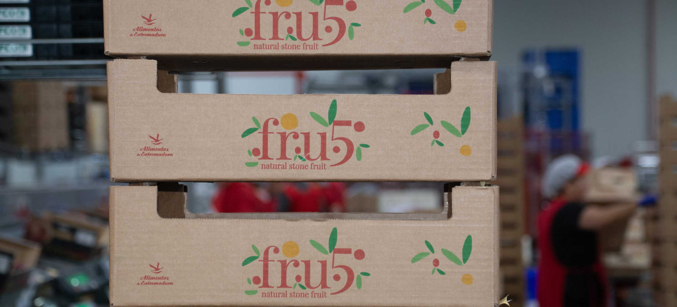 packaging-fruta-palet-extremadura