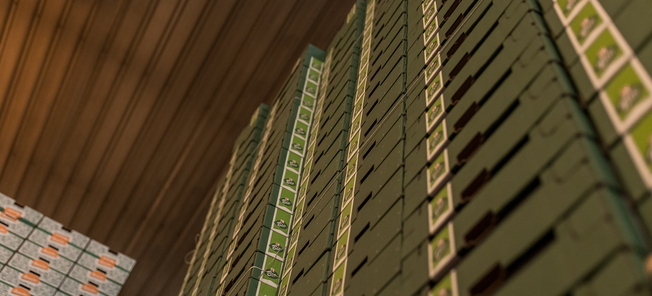 packaging-sostenible-agroalimentario-extremadura